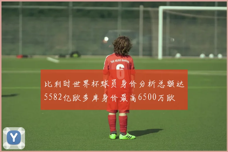 比利时世界杯球员身价分析总额达5582亿欧多库身价最高6500万欧