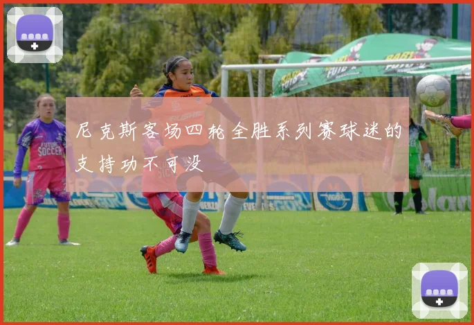 尼克斯客场四轮全胜系列赛球迷的支持功不可没